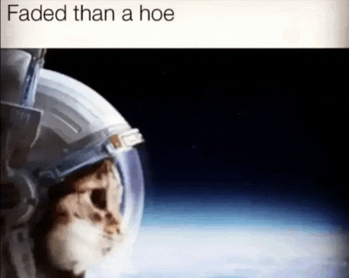 a cat is wearing a space helmet and looking at the earth .