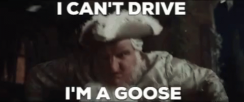 Im A Goose Drive GIF - Im A Goose Drive I Cant Drive GIFs