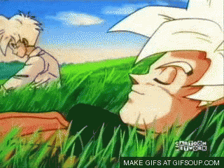 Dragon Ball Z Goku GIF - Dragon Ball Z Goku Gohan GIFs