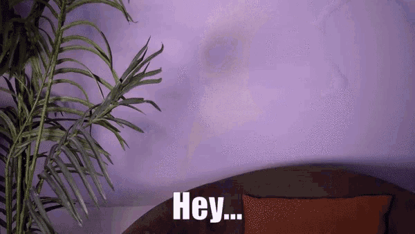 a purple wall with a plant and the word hey on it