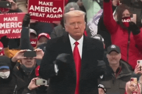 donald trump is standing in front of a crowd of people holding signs that say make america great again