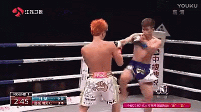 那須川天心 日本のキックボクサー、総合格闘家 Rise GIF - Tenshin Nasukawa GIFs