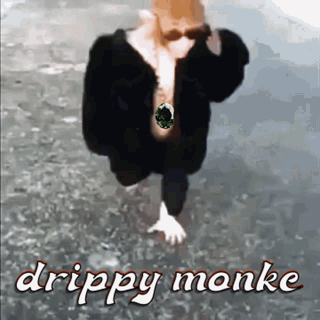 Opal Monkey Drippy Monkey GIF