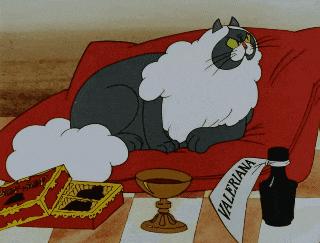 a cartoon cat is laying on a red couch with a paper that says valeriana