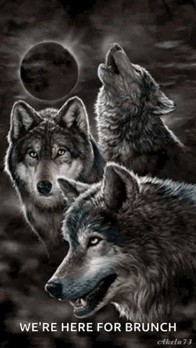 Wolf Full Moon GIF - Wolf Full Moon Howling GIFs
