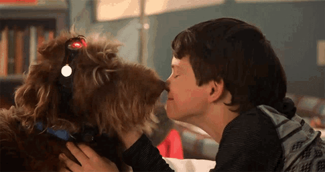 a boy kisses a small brown dog with a tag on its neck