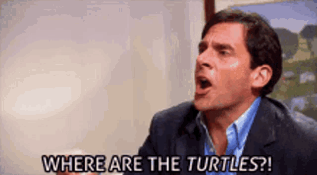 a man in a suit is saying where are the turtles .