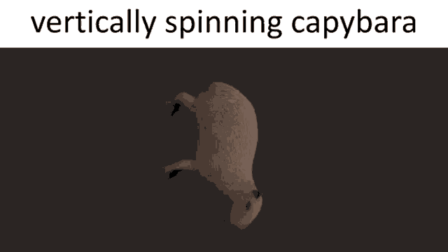 Capybara Vertically Spinning Capybara GIF - Capybara Vertically Spinning Capybara Vertically Spinning GIFs