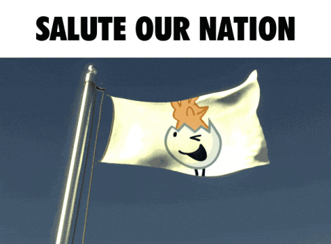 a white flag with a face on it and the words salute our nation below it