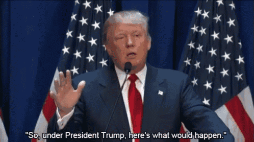 donald trump is giving a speech in front of american flags
