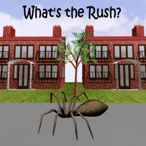 Whats The Rush Why Hurry GIF - Whats The Rush Why Hurry Why Wait GIFs