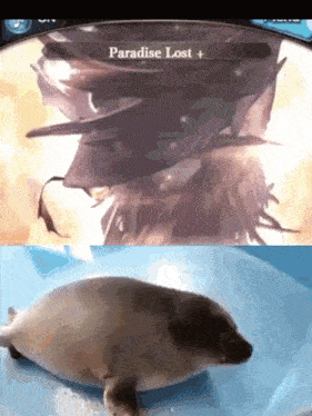 a picture of a seal next to a screen that says paradise lost +