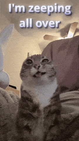 a cat with its tongue out and the words i 'm zeeping all over