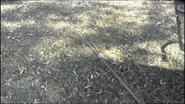 a video that has the word kinemaster on it