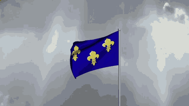 a blue flag with yellow fleur de lis on it is waving in the wind