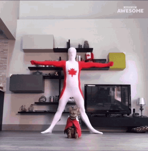 Split Legs People Are Awesome GIF - Split Legs People Are Awesome Stretch Legs GIFs