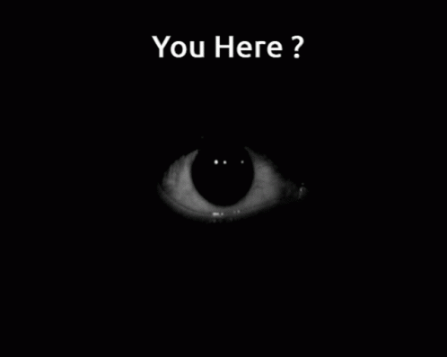 You Here GIF - You Here GIFs