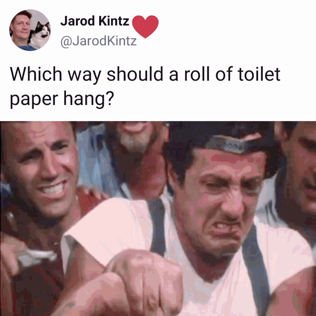 Humor Toilet Paper GIF - Humor Toilet Paper Fight GIFs