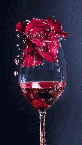 Red Rose Wine GIF - Red Rose Wine Flower GIFs