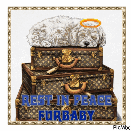 Rest In Peace Fur Baby GIF - Rest In Peace Fur Baby Dog GIFs