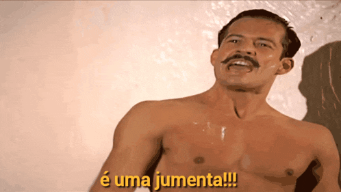 a shirtless man with a mustache says " e uma jumenta !!! "