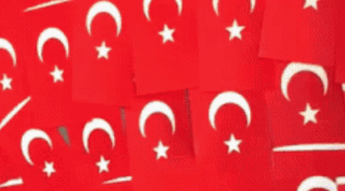 Turkish Man Crop Going In GIF - Turkish Man Crop Going In Turkey Flag GIFs