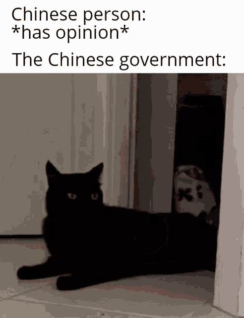 a black cat is laying on the floor next to a door with a caption that says chinese person has opinion the chinese government