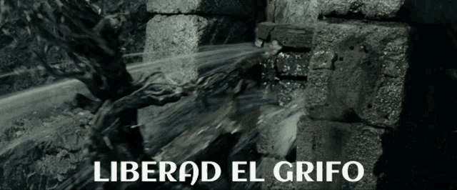 Liberad Grifo GIF - Liberad Grifo Ents GIFs