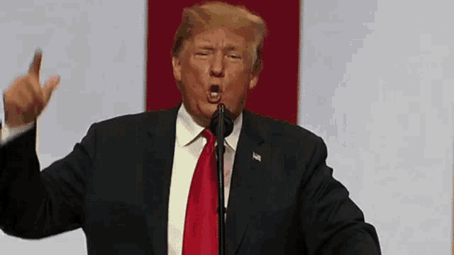 donald trump is wearing a suit and tie and speaking into a microphone .