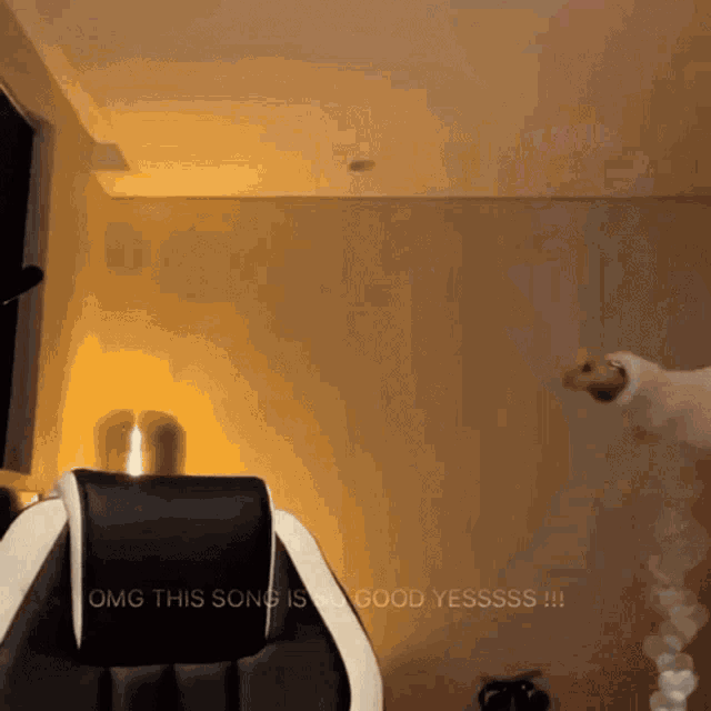 a video of a dog jumping in the air with the words omg this song is so good yessss