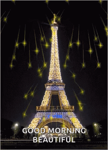 Paris Eiffel Tower GIF - Paris Eiffel Tower Tower GIFs