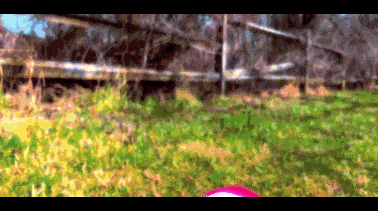 a blurry picture of a field with a fence and trees in the background