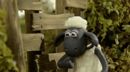a sheep is standing next to a wooden fence .