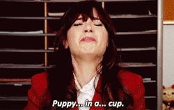 Puppy Cup GIF - Puppy Cup Newgirl GIFs