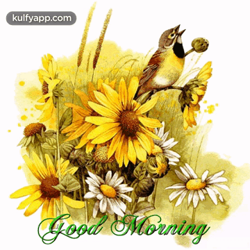 Good Morning.Gif GIF - Good Morning Goodmorning Fresh Morning GIFs