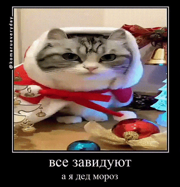 a picture of a cat wearing a santa hat and scarf with a caption in russian