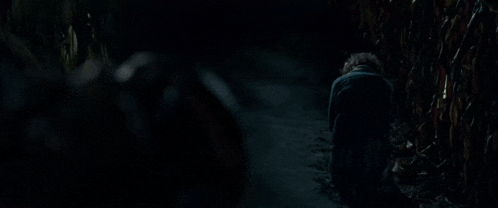 a person is kneeling down in the dark in front of a field of corn .