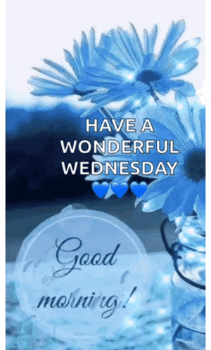 a picture of blue flowers with the words have a wonderful wednesday good morning .