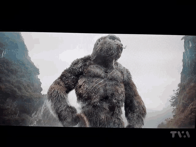 a picture of a gorilla on a tv screen with the time 7:11
