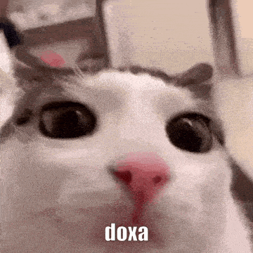 a close up of a cat 's face with the word doxa written on the bottom .