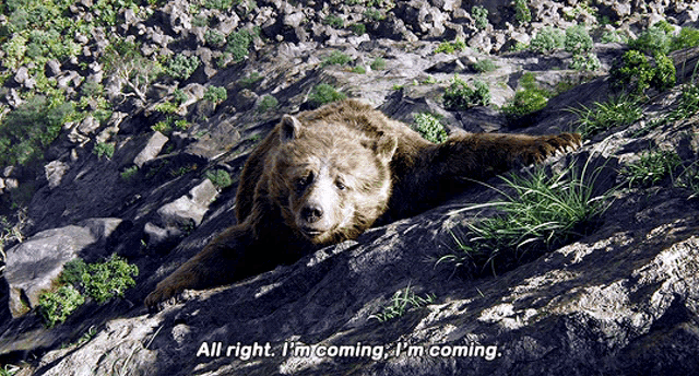 a bear laying on a rock with the words all right i 'm coming i 'm coming below it