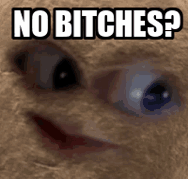 a close up of a person 's face with the words " no bitches " on it