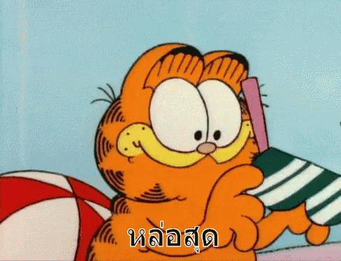 กาฟิว หล่อสุด GIF - Garfield Im Handsome Im Cool GIFs