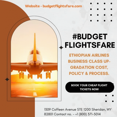 Ethiopian Airlines Business Class Upgradation Cost Policy GIF - Ethiopian Airlines Business Class Upgradation Cost Policy GIFs
