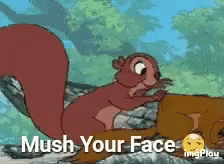 Squirrels Mush GIF - Squirrels Mush Sweet GIFs