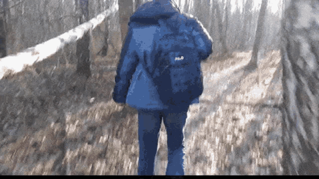 a person walking in the woods with a backpack that says m.p.p.