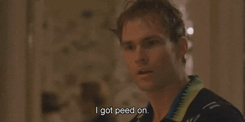 I Got Peed On GIF - American Pie Comedy Seann William Scott GIFs