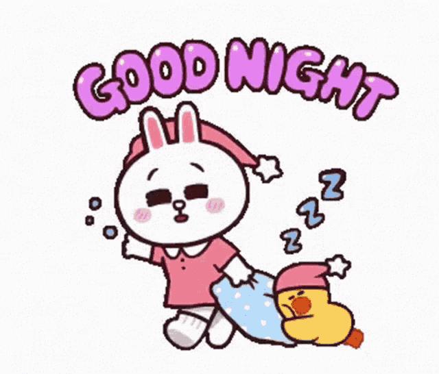 a cartoon rabbit is sleeping next to a yellow duck and says `` good night '' .