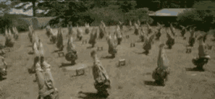 a group of people are doing exercises in the dirt in a field .