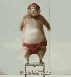 a hamster wearing red swim trunks and goggles is jumping off a stool .